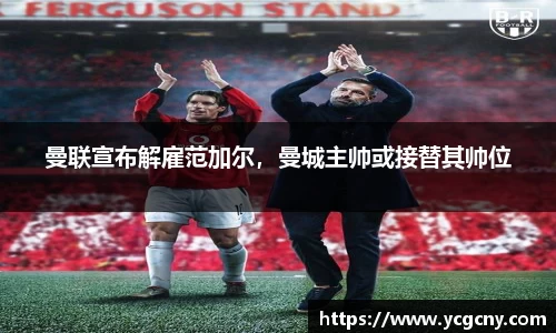 BoB半岛·体育中国官方网站