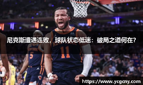 半岛bob·官方网站