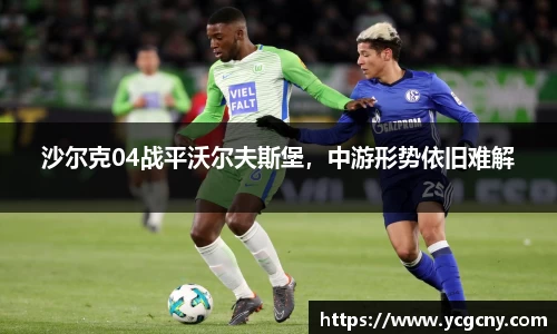 沙尔克04战平沃尔夫斯堡，中游形势依旧难解