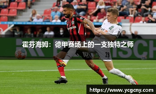 霍芬海姆：德甲赛场上的一支独特之师