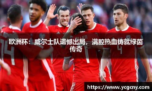 欧洲杯：威尔士队遗憾出局，满腔热血铸就绿茵传奇