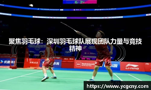 聚焦羽毛球：深圳羽毛球队展现团队力量与竞技精神