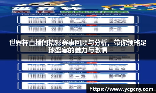 世界杯直播间精彩赛事回顾与分析，带你领略足球盛宴的魅力与激情
