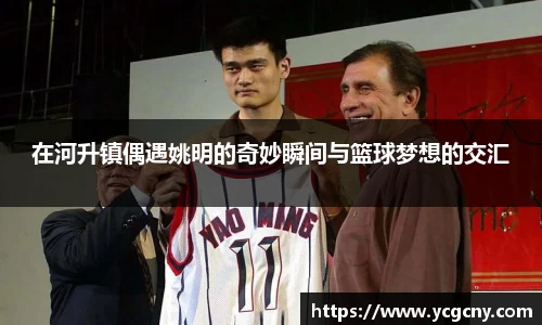 半岛bob·官方
