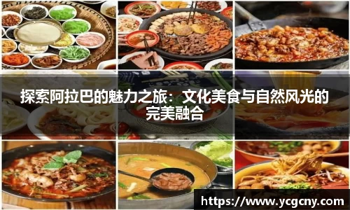 半岛·BOB官方网站