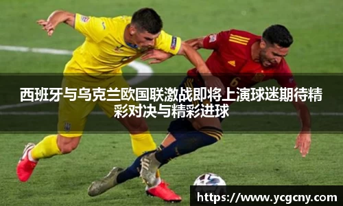 BoB半岛·体育中国官方网站