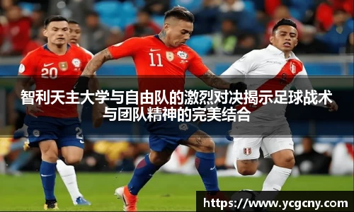 半岛bob·官方网站