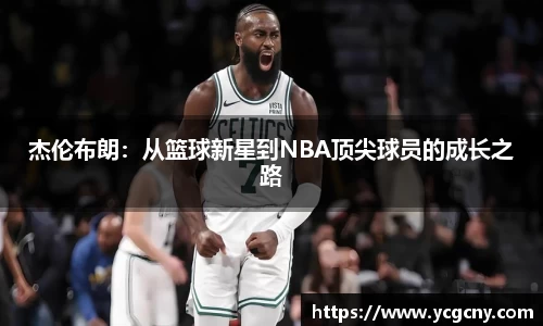 BoB半岛·体育中国官方网站