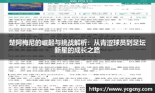半岛bob·官方网站